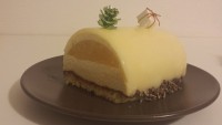/album/galerie-photos/vanille-ananas-jpg1/